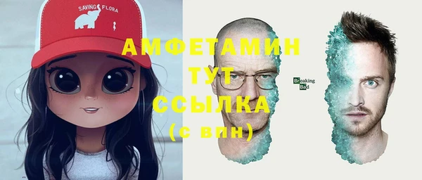 стаф Богданович